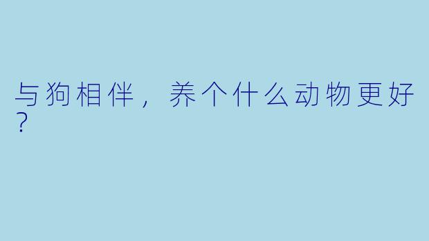 与狗相伴，养个什么动物更好？