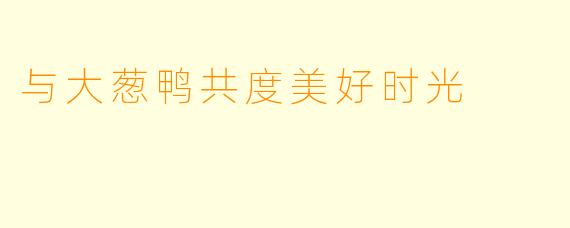 与大葱鸭共度美好时光