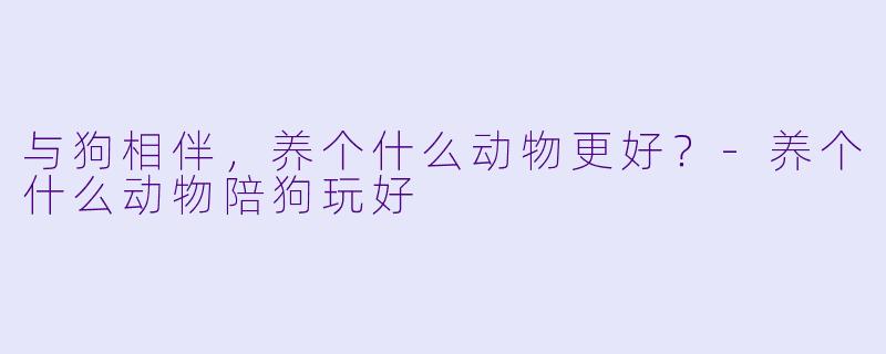 与狗相伴，养个什么动物更好？-养个什么动物陪狗玩好