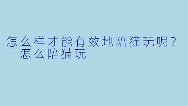 怎么样才能有效地陪猫玩呢？