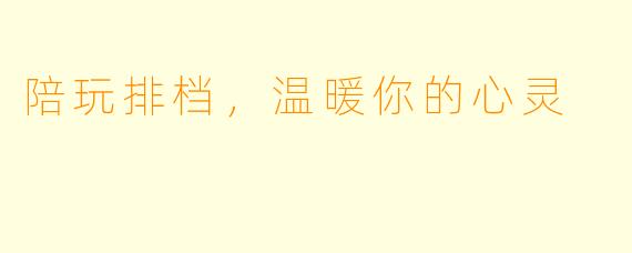 陪玩排档，温暖你的心灵
