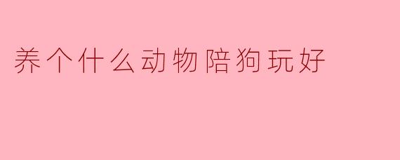 养个什么动物陪狗玩好