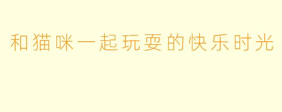 和猫咪一起玩耍的快乐时光