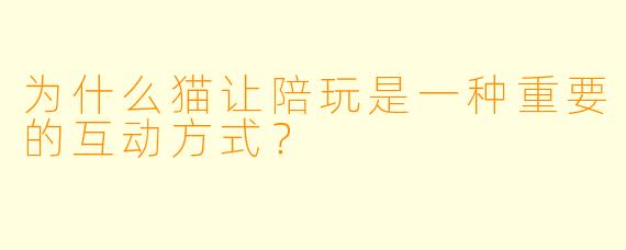 为什么猫让陪玩是一种重要的互动方式？
