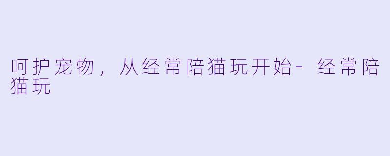 呵护宠物，从经常陪猫玩开始-经常陪猫玩