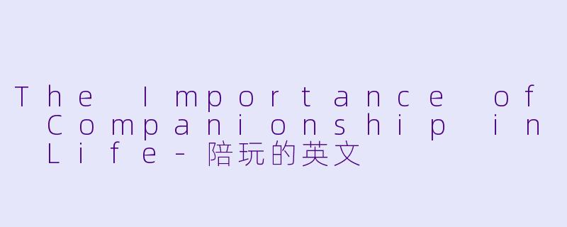 The Importance of Companionship in Life-陪玩的英文