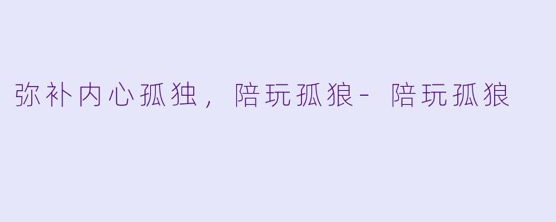 弥补内心孤独，陪玩孤狼