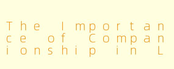 The Importance of Companionship in Life