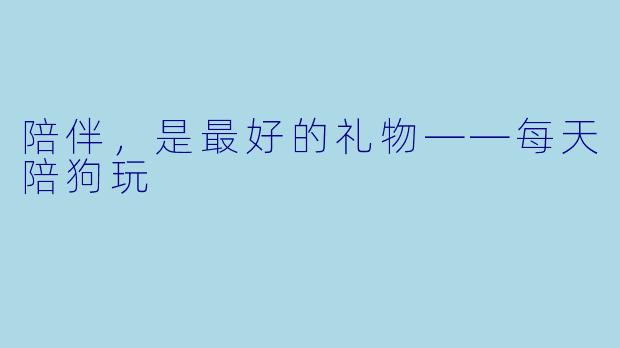 陪伴，是最好的礼物——每天陪狗玩
