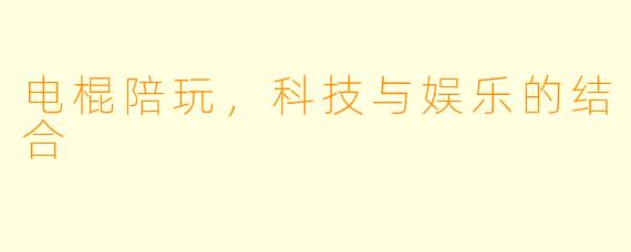 电棍陪玩，科技与娱乐的结合