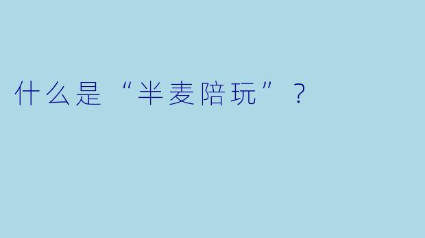 什么是“半麦陪玩”？