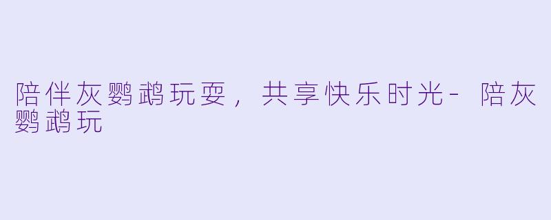 陪伴灰鹦鹉玩耍，共享快乐时光-陪灰鹦鹉玩