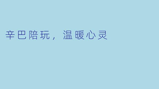 辛巴陪玩，温暖心灵