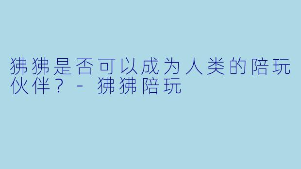 狒狒是否可以成为人类的陪玩伙伴？