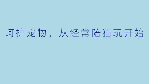 呵护宠物，从经常陪猫玩开始