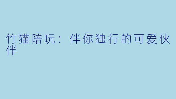 竹猫陪玩：伴你独行的可爱伙伴