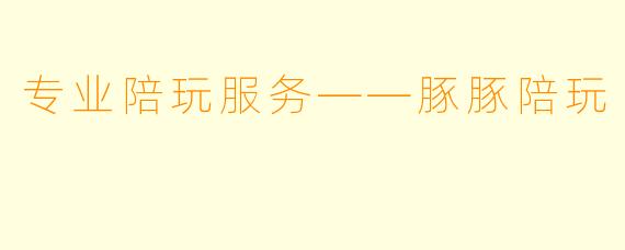 专业陪玩服务——豚豚陪玩