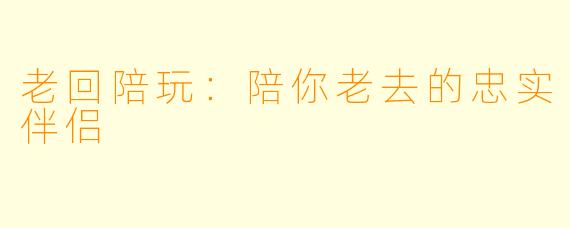 老回陪玩：陪你老去的忠实伴侣