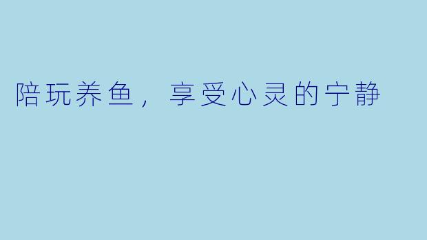 陪玩养鱼，享受心灵的宁静