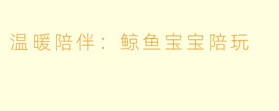 温暖陪伴：鲸鱼宝宝陪玩