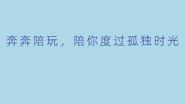 奔奔陪玩，陪你度过孤独时光
