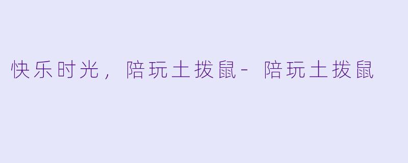 快乐时光，陪玩土拨鼠