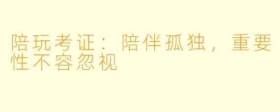 陪玩考证：陪伴孤独，重要性不容忽视