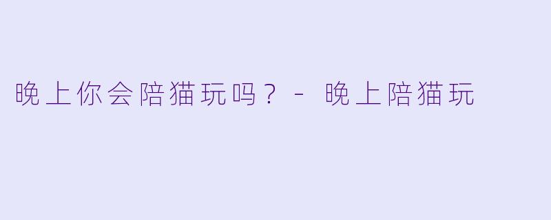 晚上你会陪猫玩吗？