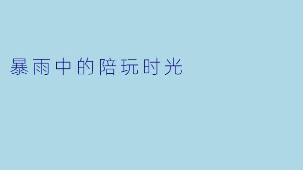 暴雨中的陪玩时光