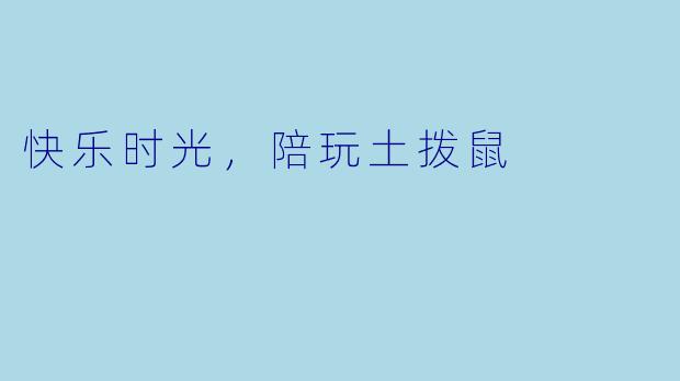快乐时光，陪玩土拨鼠