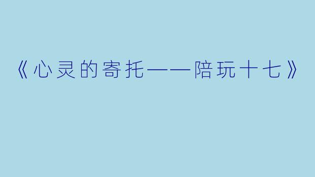 《心灵的寄托——陪玩十七》