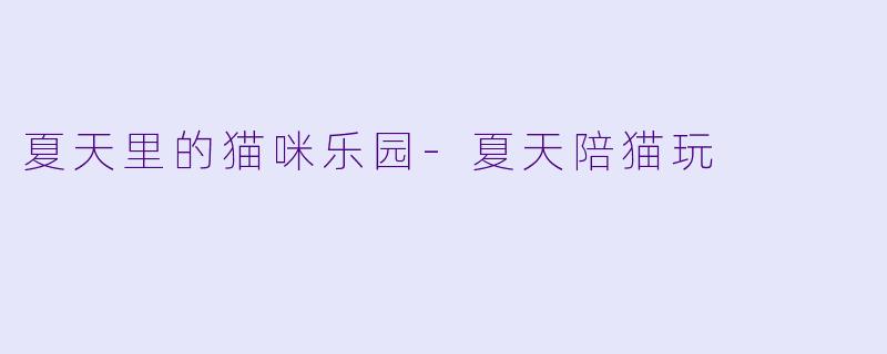 夏天里的猫咪乐园