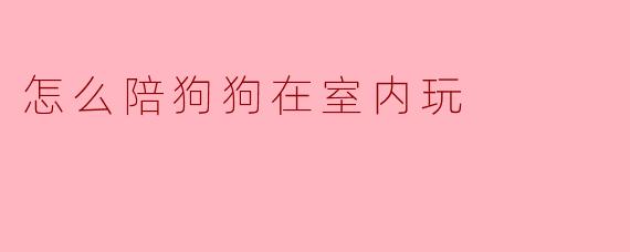 怎么陪狗狗在室内玩呢？