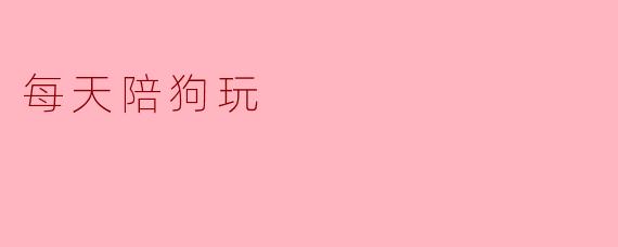 每天陪狗玩