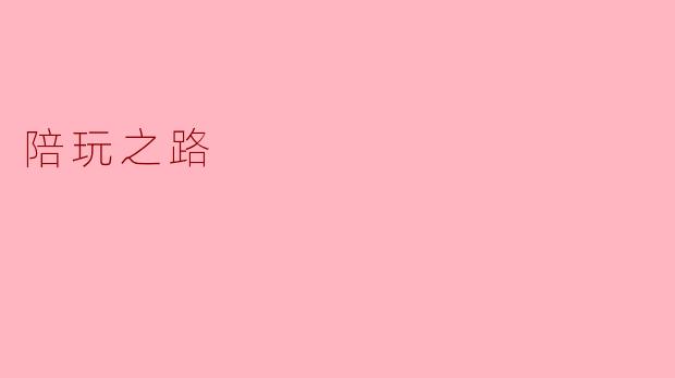 陪玩之路