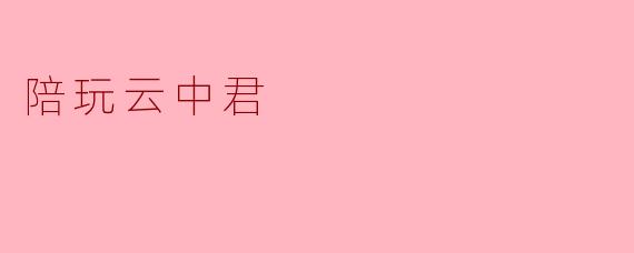 陪玩云中君是什么服务？