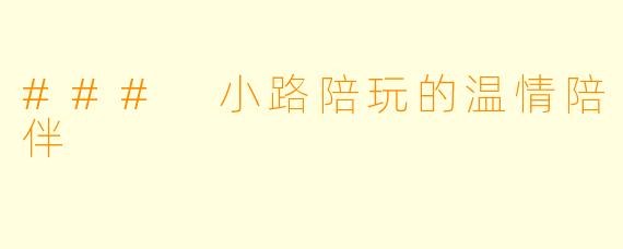 ### 小路陪玩的温情陪伴