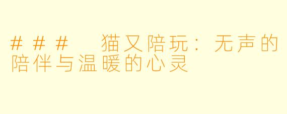 ### 猫又陪玩:无声的陪伴与温暖的心灵