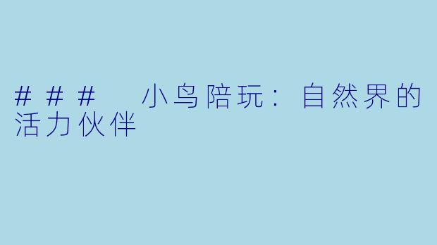 ### 小鸟陪玩:自然界的活力伙伴