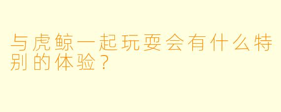 与虎鲸一起玩耍会有什么特别的体验？