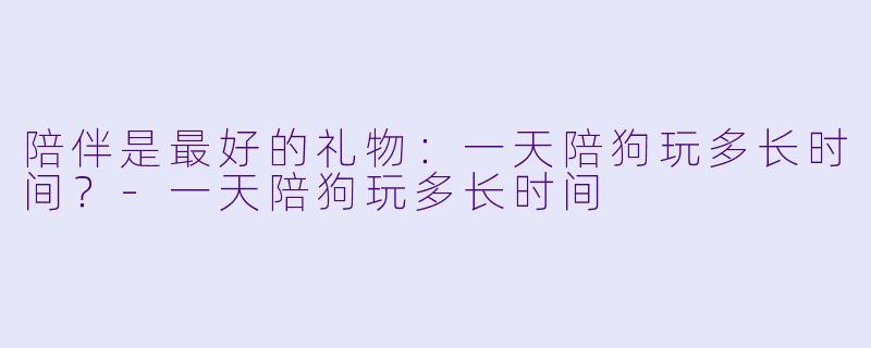 陪伴是最好的礼物:一天陪狗玩多长时间?