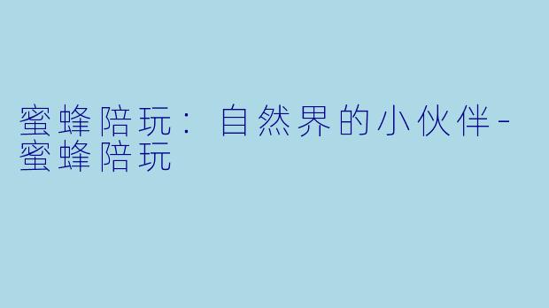 蜜蜂陪玩：自然界的小伙伴-蜜蜂陪玩