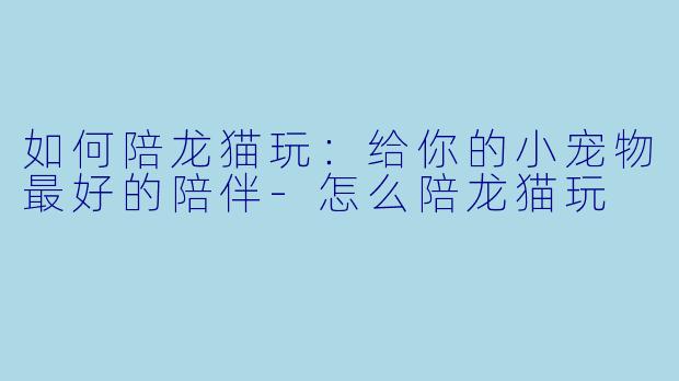 如何陪龙猫玩：给你的小宠物最好的陪伴-怎么陪龙猫玩