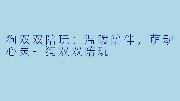 狗双双陪玩：温暖陪伴，萌动心灵-狗双双陪玩
