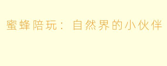 蜜蜂陪玩：自然界的小伙伴