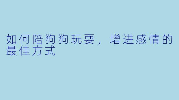 如何陪狗狗玩耍，增进感情的最佳方式