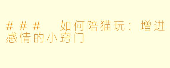 ### 如何陪猫玩：增进感情的小窍门