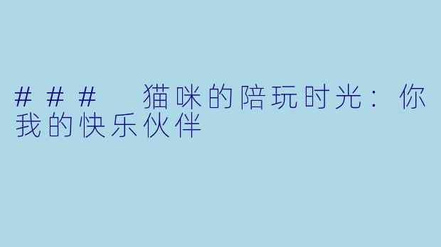 ### 猫咪的陪玩时光:你我的快乐伙伴
