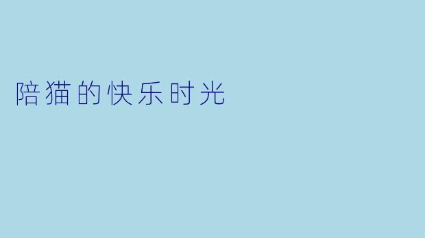 陪猫的快乐时光