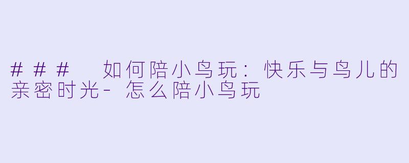 ### 如何陪小鸟玩：快乐与鸟儿的亲密时光-怎么陪小鸟玩